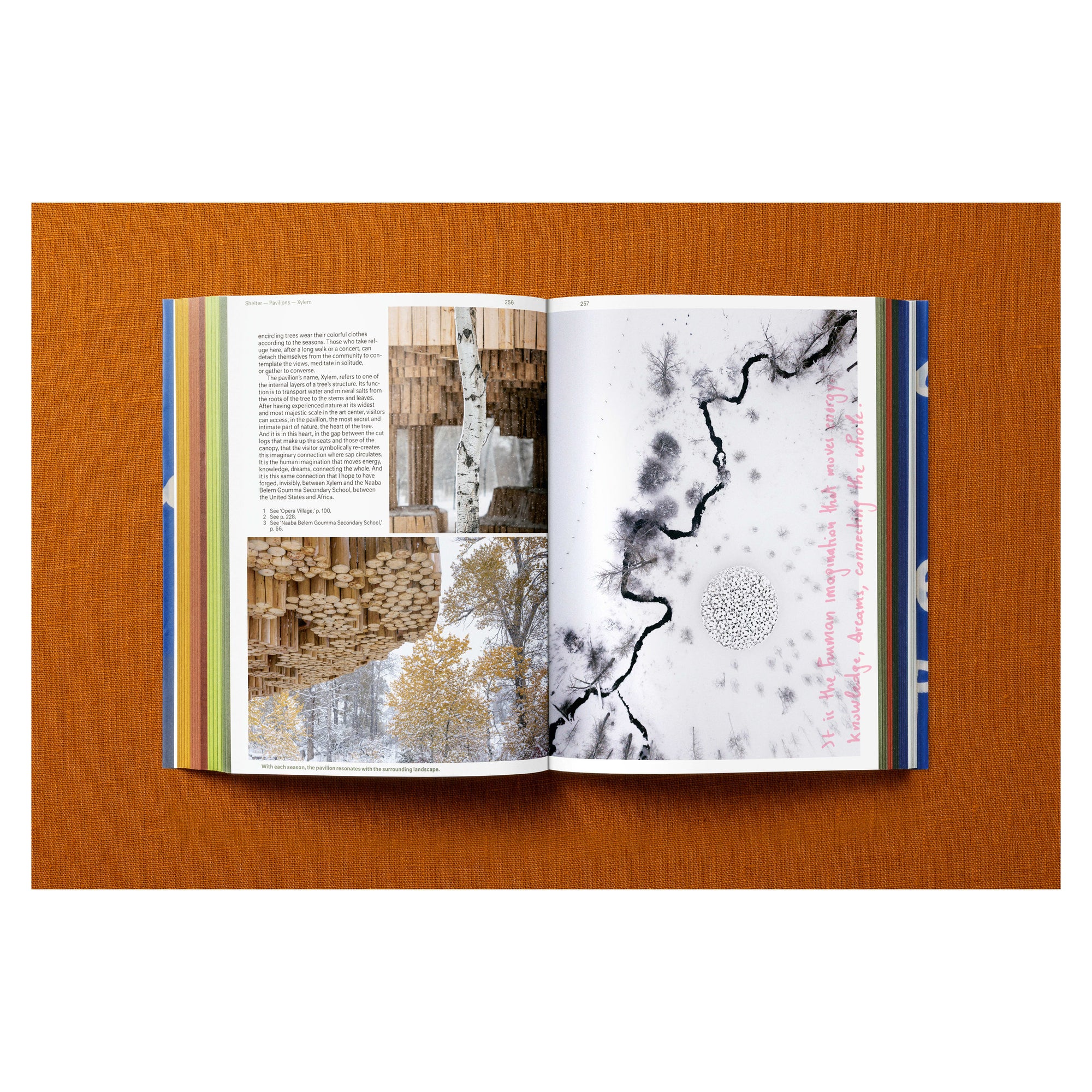 Francis Kéré. Building Stories (English)