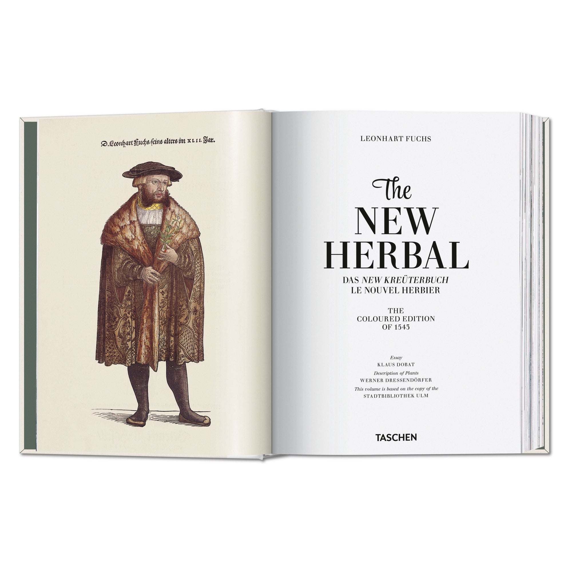 The New Herbal – hand-colored botanical plate (1)
